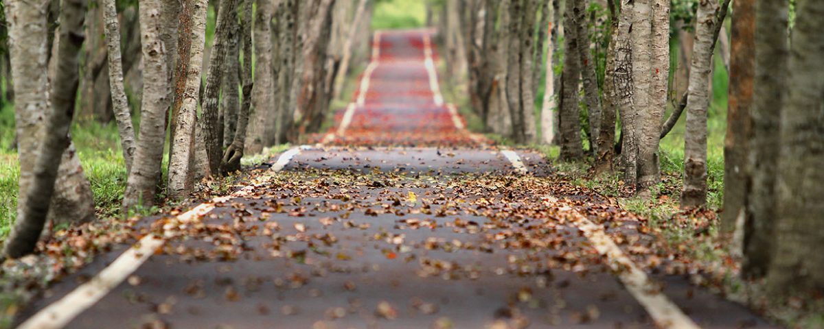 Eating Disorders: More than Meets the Eye