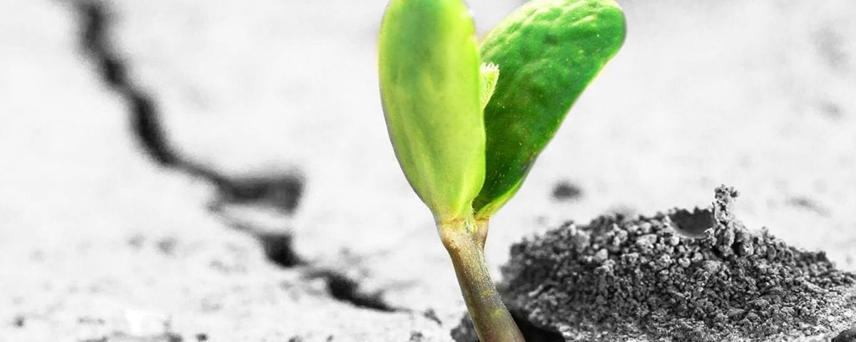 personal growth