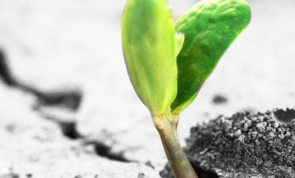 personal growth