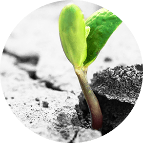 Philly Outpatient Treatment Programs
