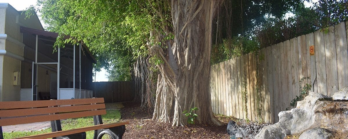 Banyan Treatment Center Nationwide Locations