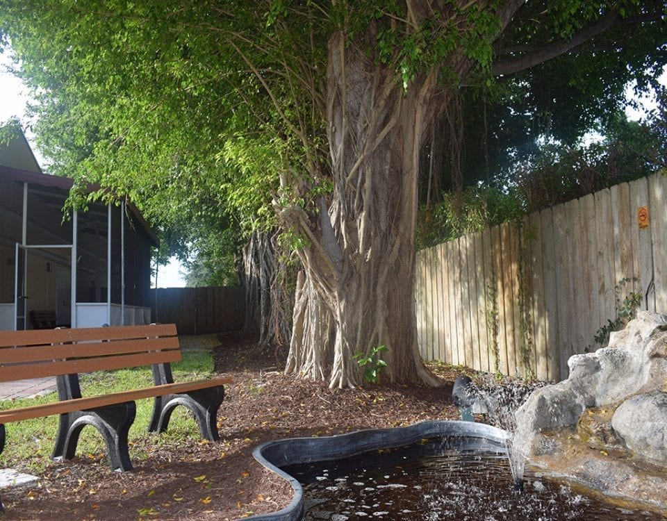 Banyan Treatment Center Nationwide Locations