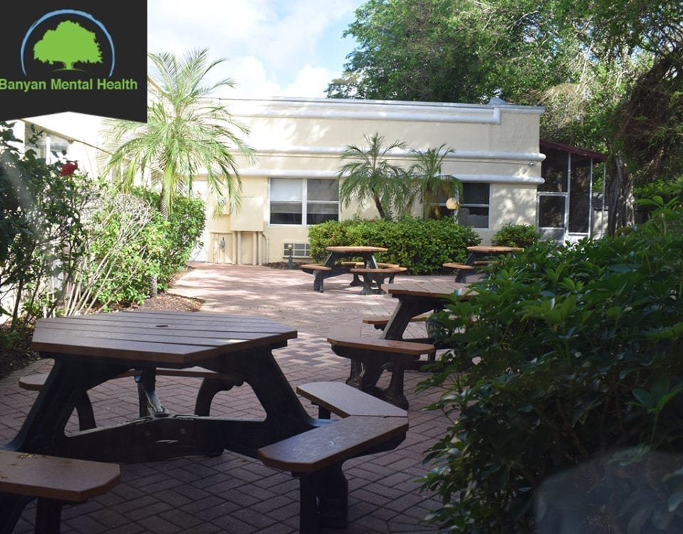 Mental Health Program at Banyan