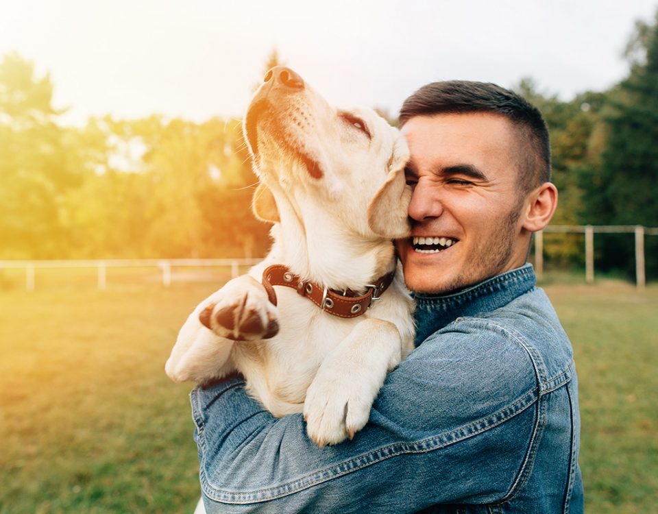 Pet Therapy for Addiction Treatment