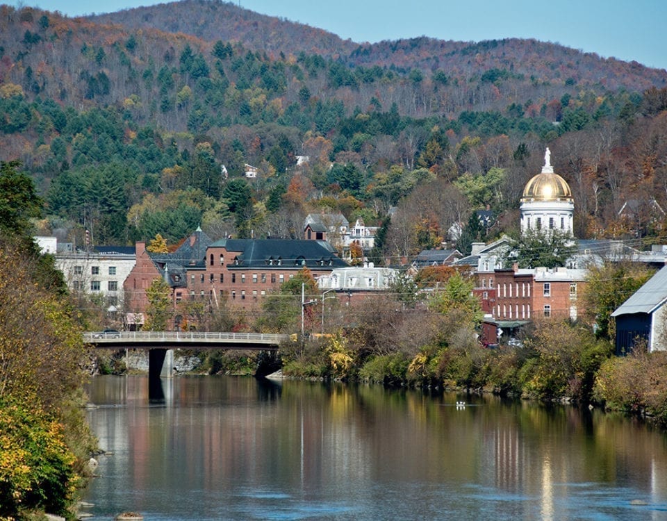 How Five States are Fighting Back against the Opioid Epidemic