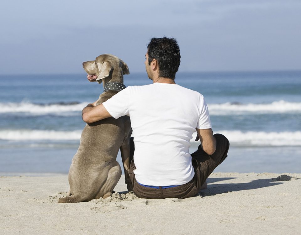 Risks of Relapse During the Summer