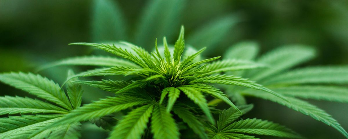 Sober for the Holidays, Start Treatment Now