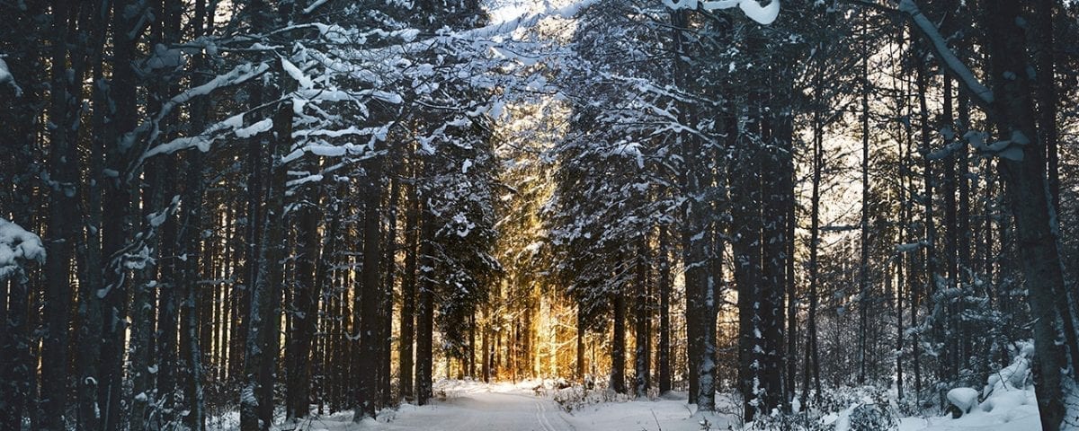 How Does the Winter Affect Depression?
