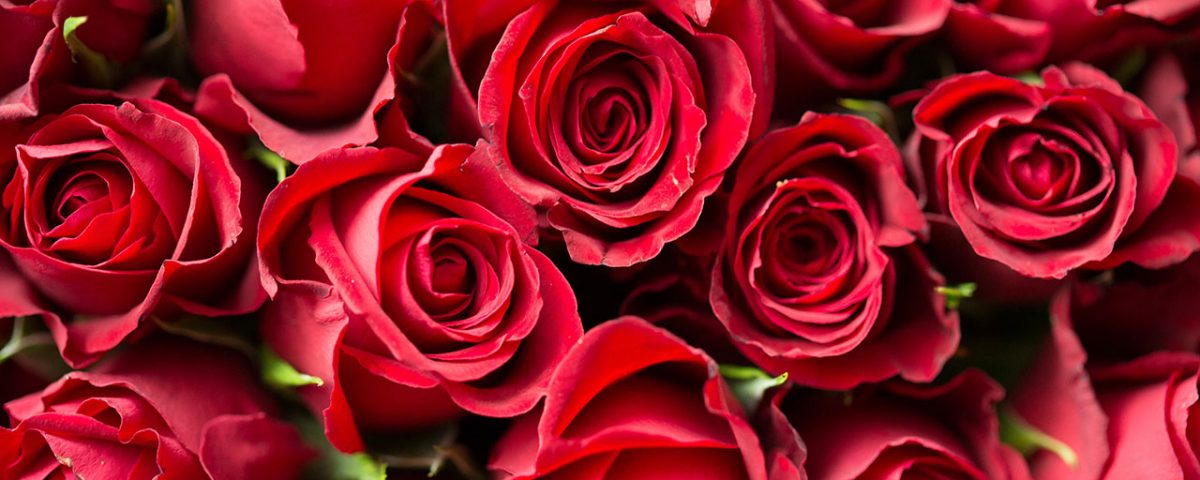 Valentine’s Day Gifts for Your Sober Partner