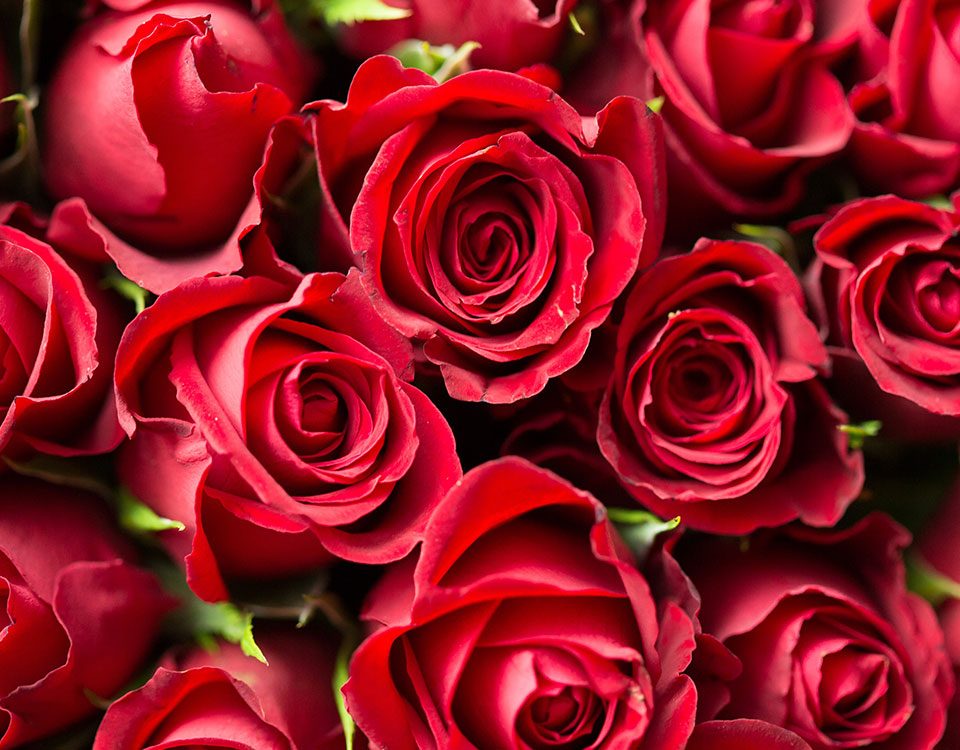 Valentine’s Day Gifts for Your Sober Partner