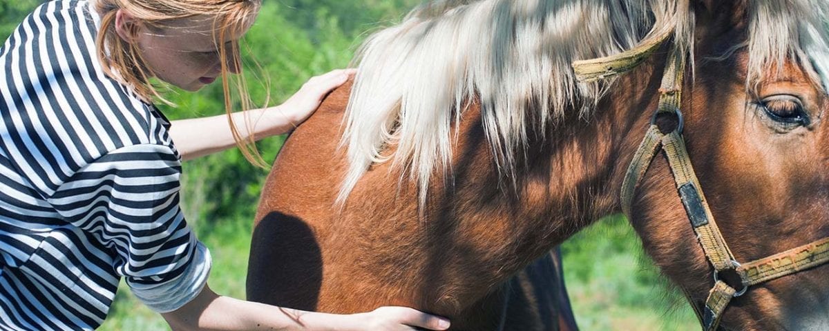 What is Equine Therapy?