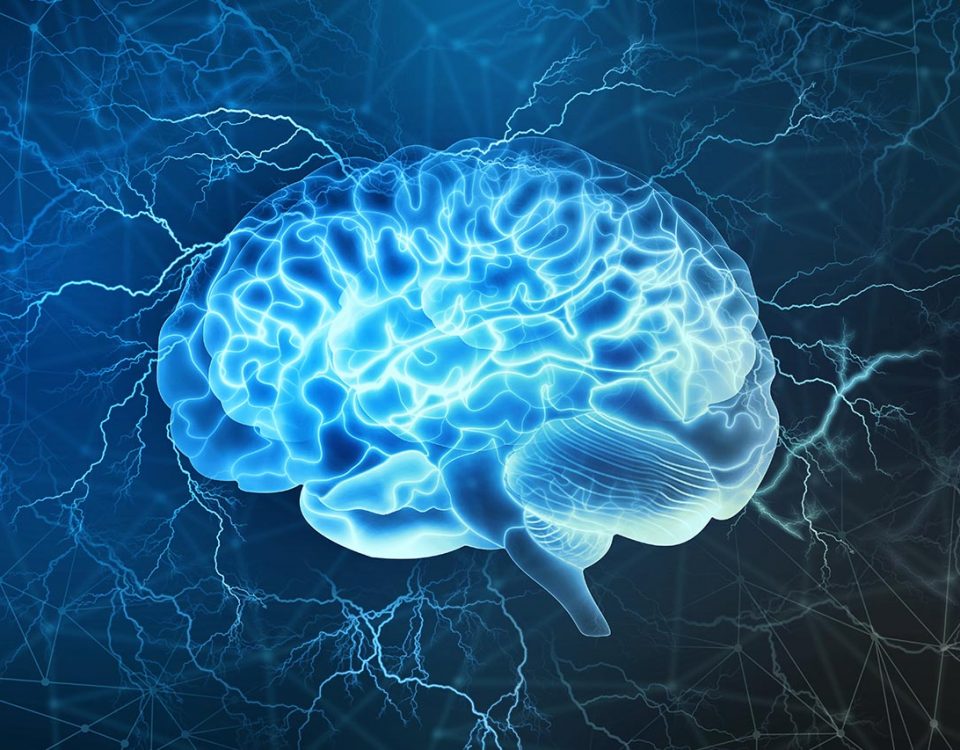 The Origins of Alcoholism with the Brain