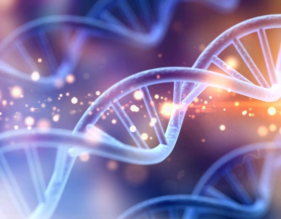 Can Ancestry Tests Affect Your Mental Health? Clinical Director Ryan Steinberg, LMHC, Provides Insight