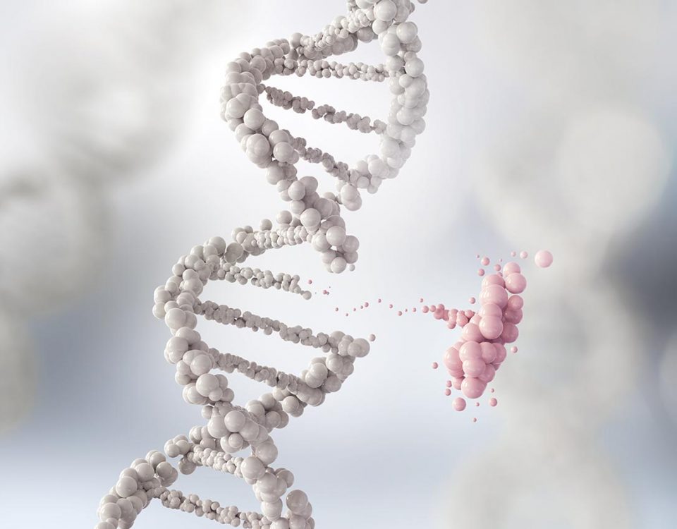 Genetic Links to Alcoholism