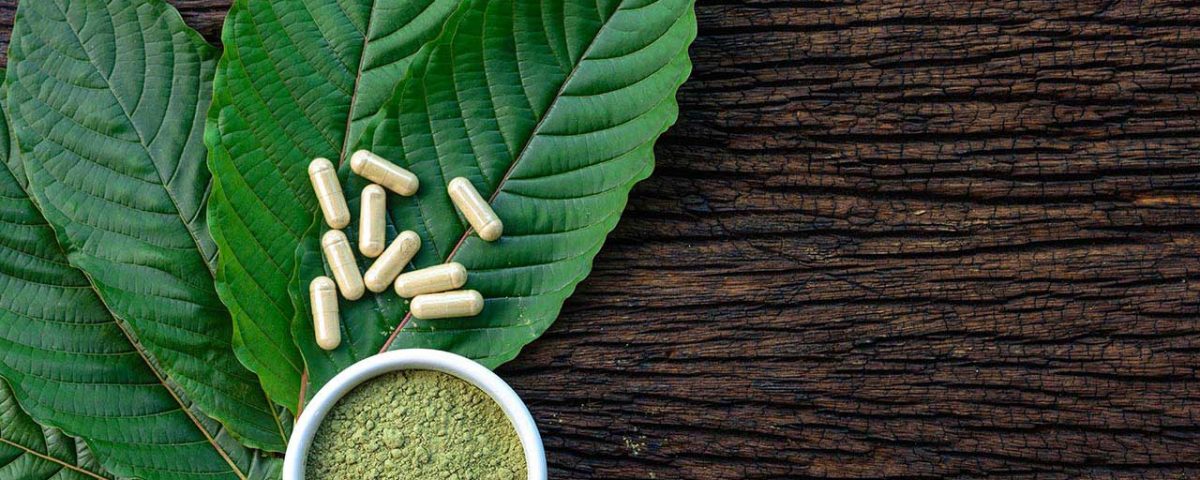 Kratom Debate: A Miracle for Opioid Abuse or A Danger?