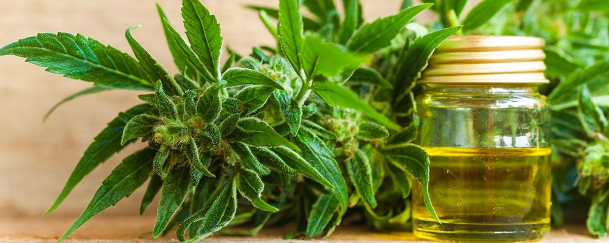 Mixing CBD and Alcohol: The Truth Revealed