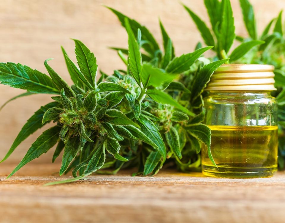Mixing CBD and Alcohol: The Truth Revealed