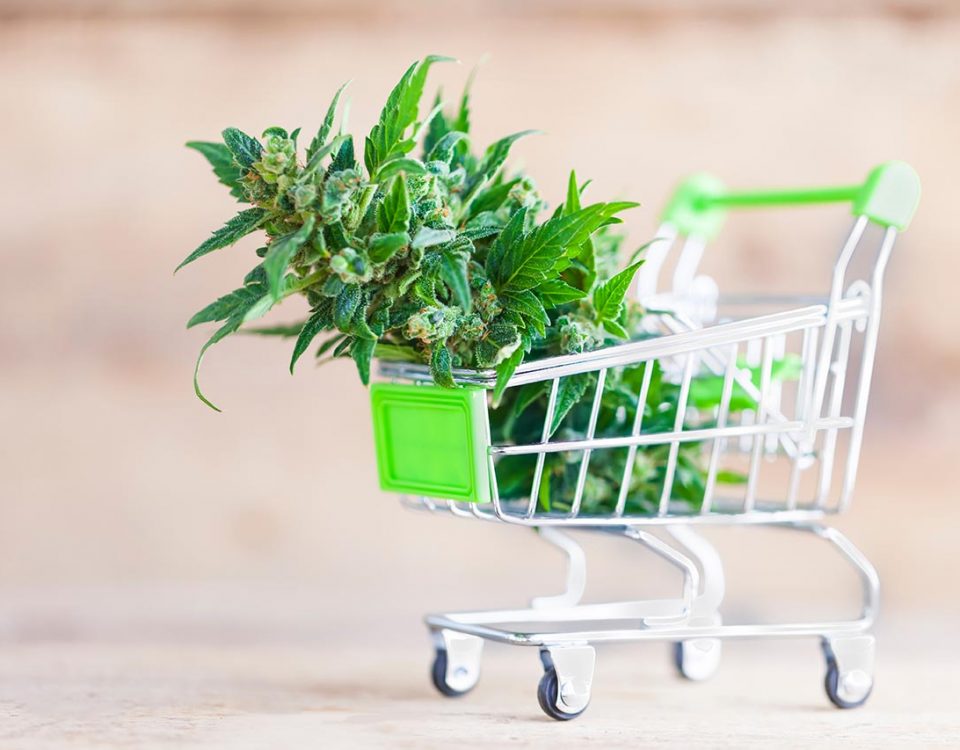 Boston’s First Recreational Marijuana Shop