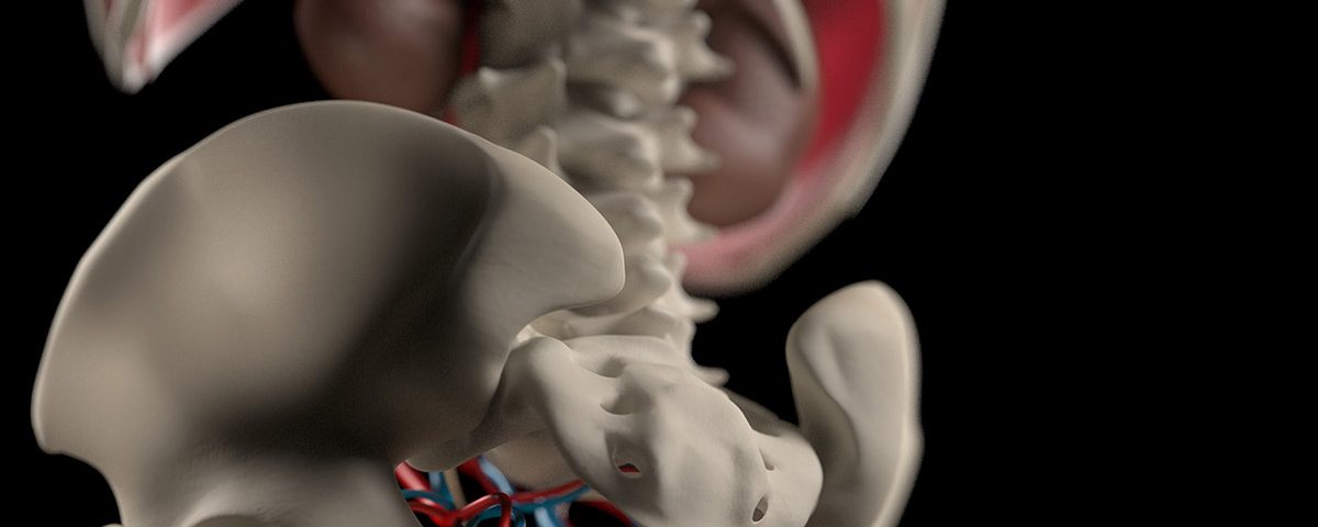 The Effects of Prolonged Drug & Alcohol Abuse on the Skeletal & Nervous System