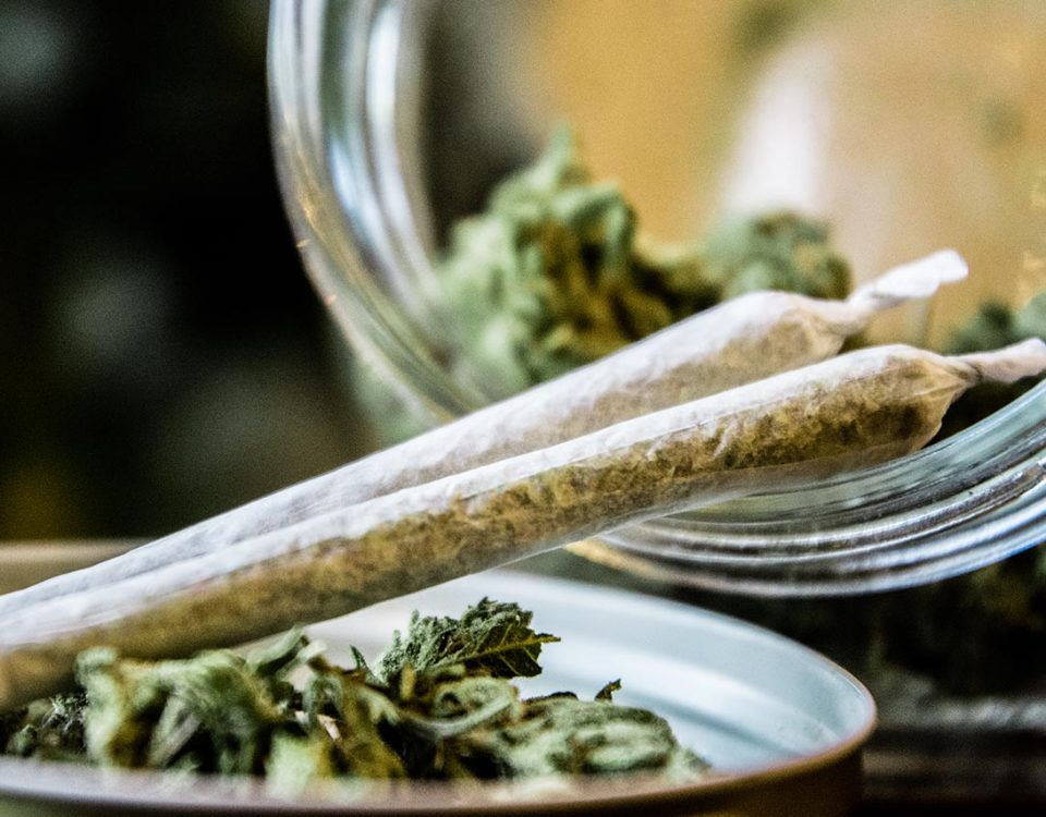 The First State-Authorized Medical Marijuana Research Program in Philadelphia