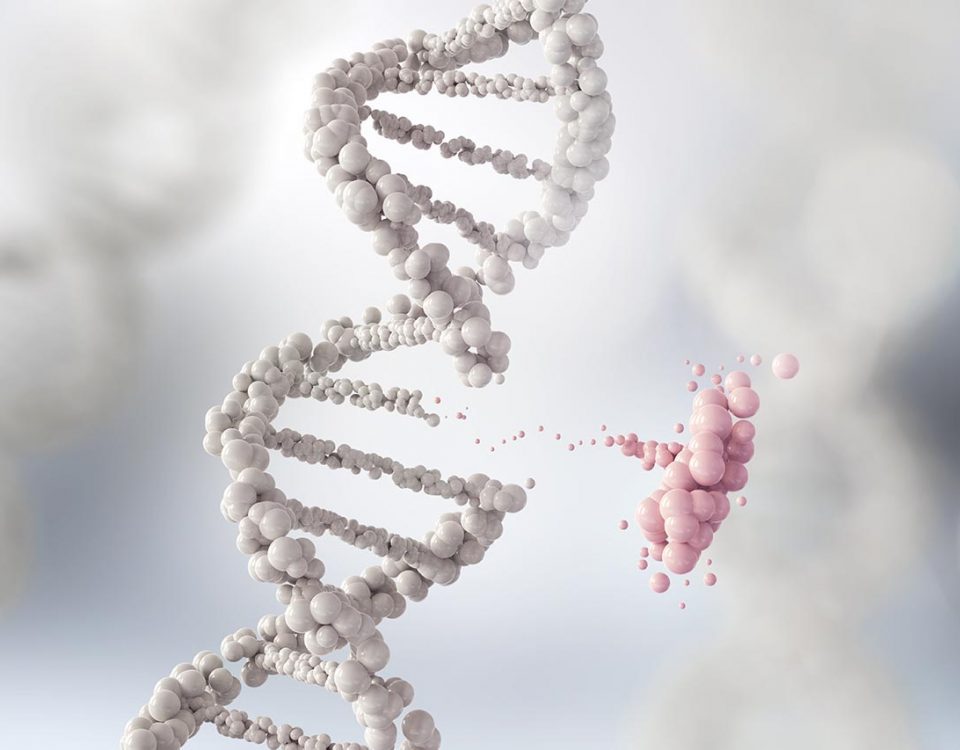 The Link Between Genetics & Addiction