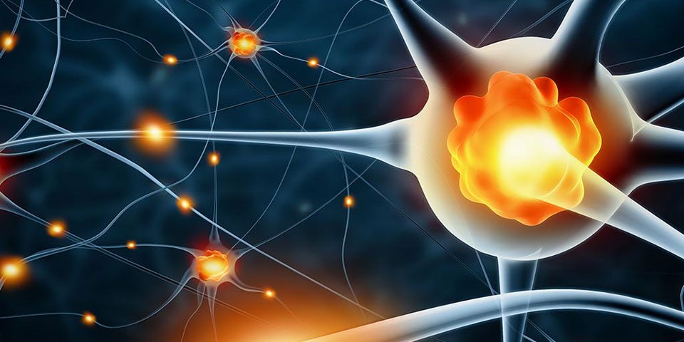 How Cocaine Affects the Nervous System