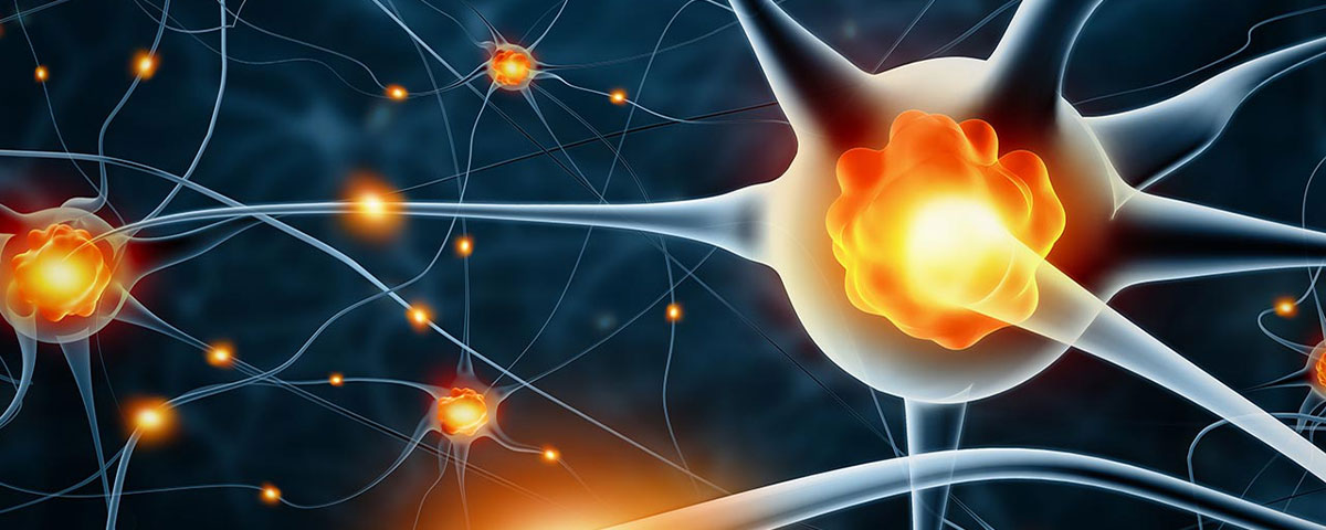 How Cocaine Affects the Nervous System