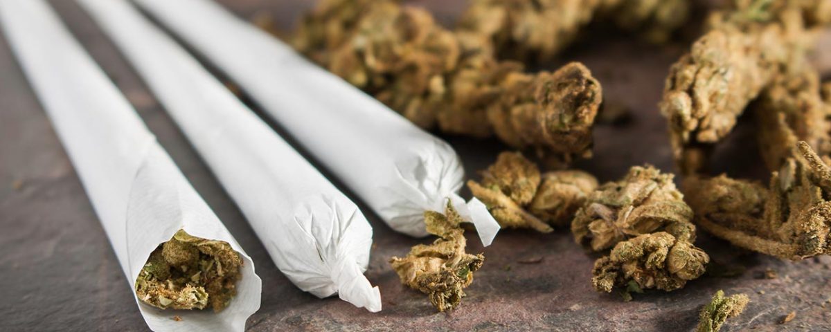 10 Most Common Questions About Marijuana