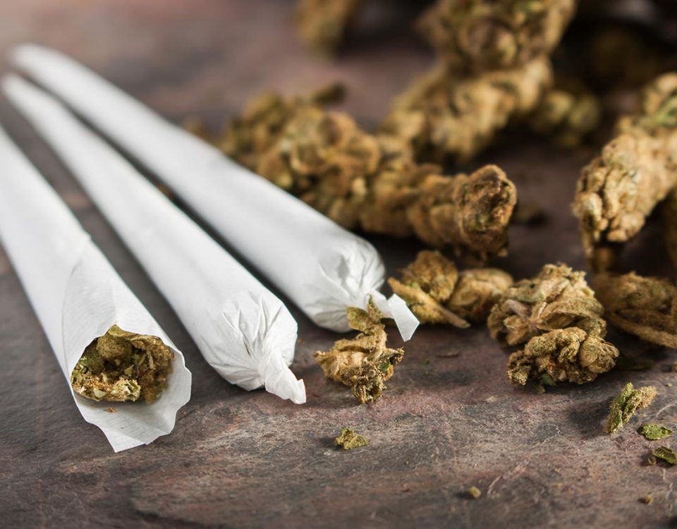 10 Most Common Questions About Marijuana