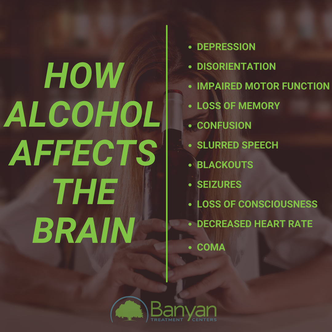 How Alcohol Affects the Brain