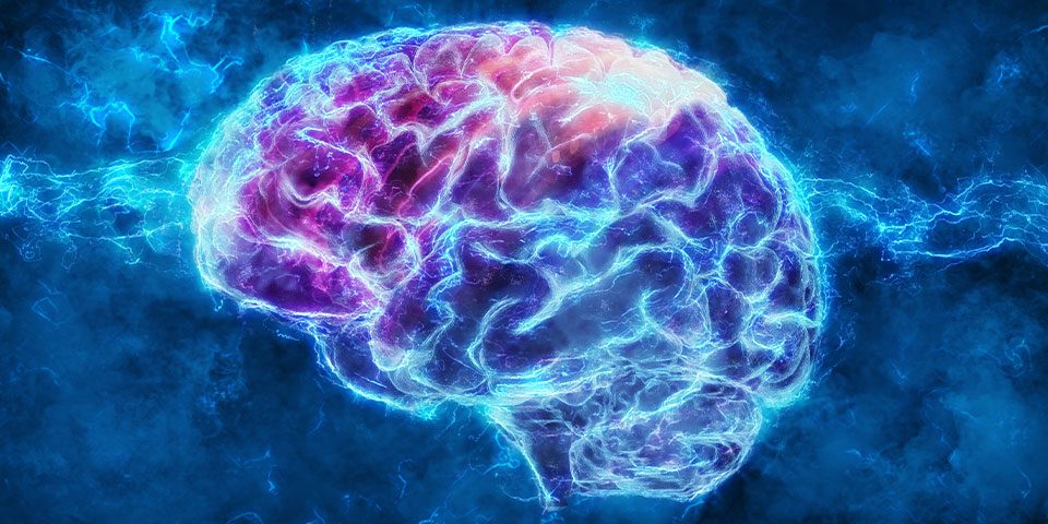 Effects of Substance Abuse on Gray Brain Matter
