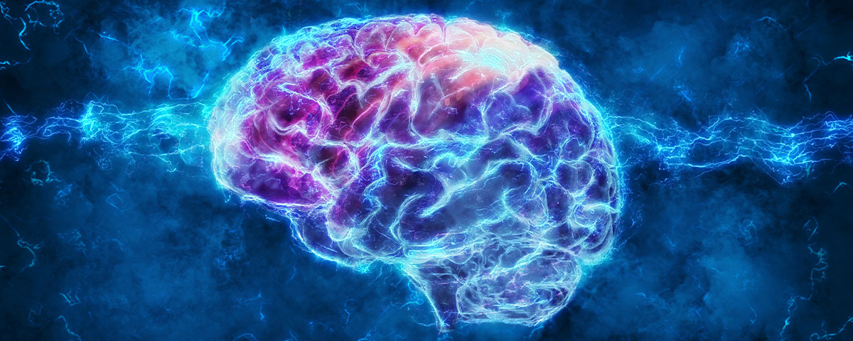 Effects of Substance Abuse on Gray Brain Matter
