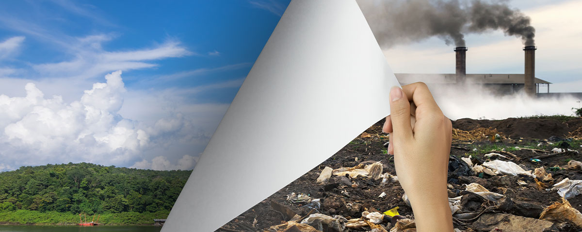 Environmental Factors of Addiction