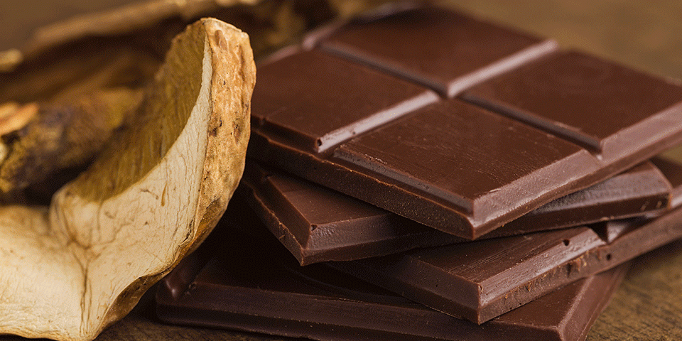 mushroom chocolate a dangerous delicacy