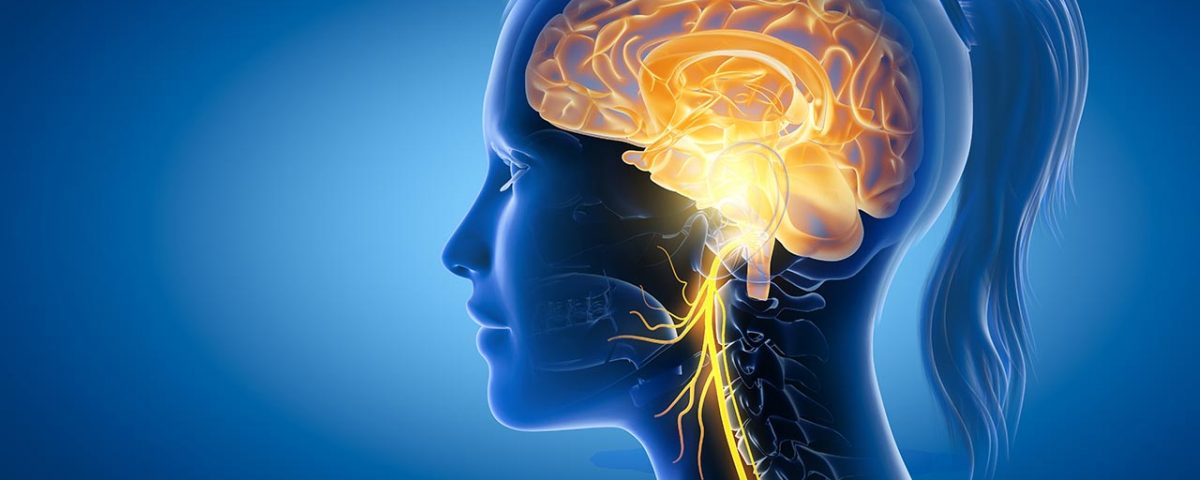 How Long Does DMT Stay In Your System?