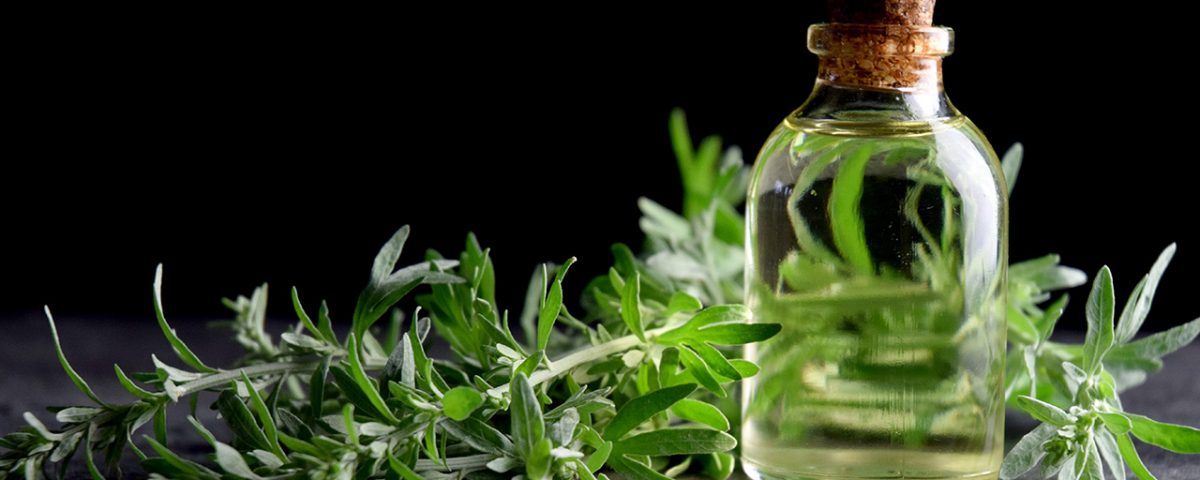 Absinthe History 101