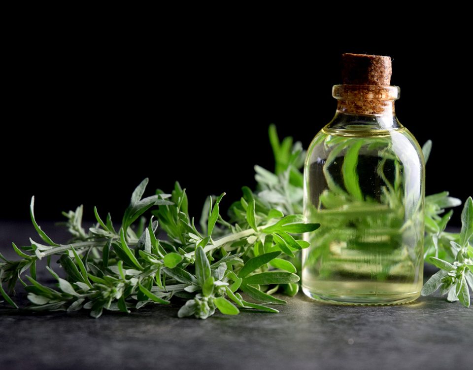 Absinthe History 101