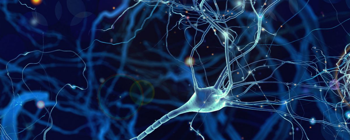 Alcohol Kills Brain Cells: Fact or Myth?