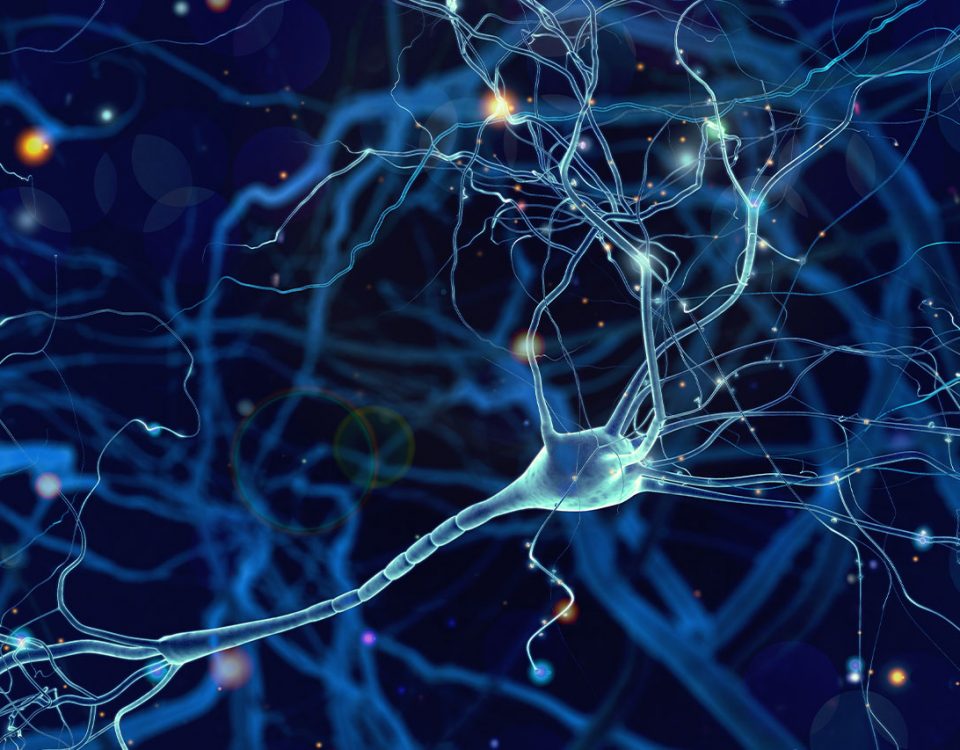 Alcohol Kills Brain Cells: Fact or Myth?