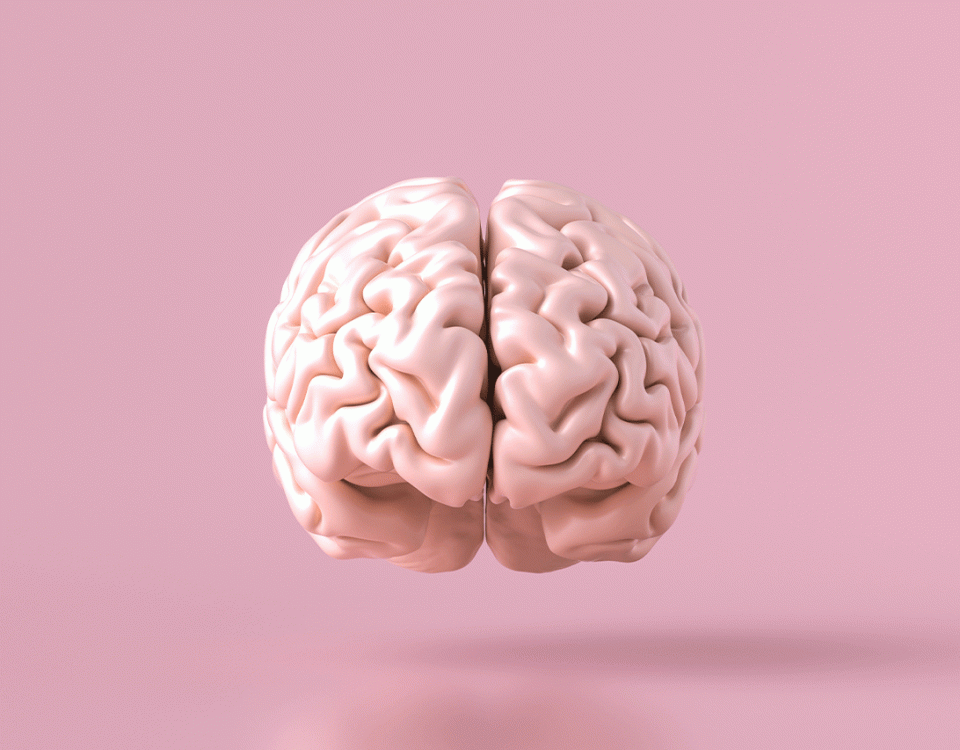 How to Heal The Brain After Drug Use