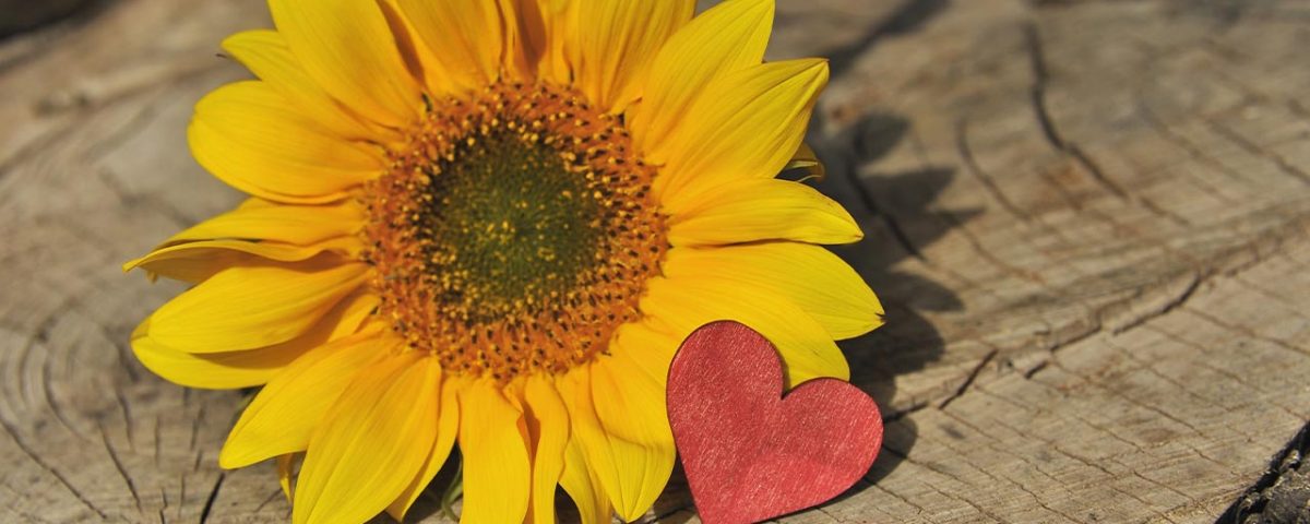 Practice Self-Love on Valentine’s Day