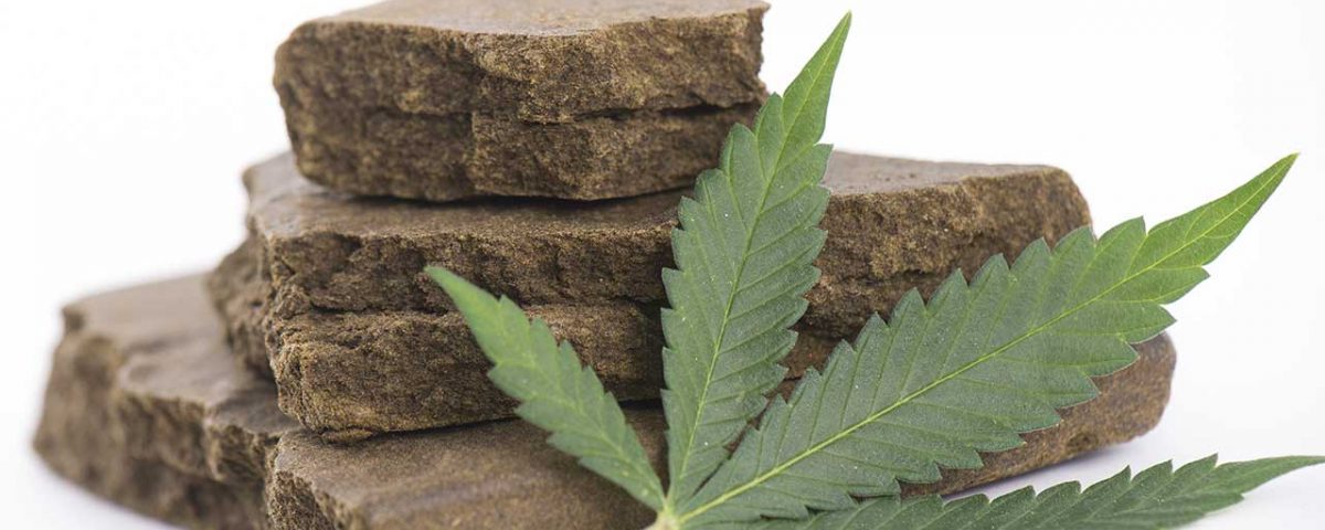 Hashish vs. Weed