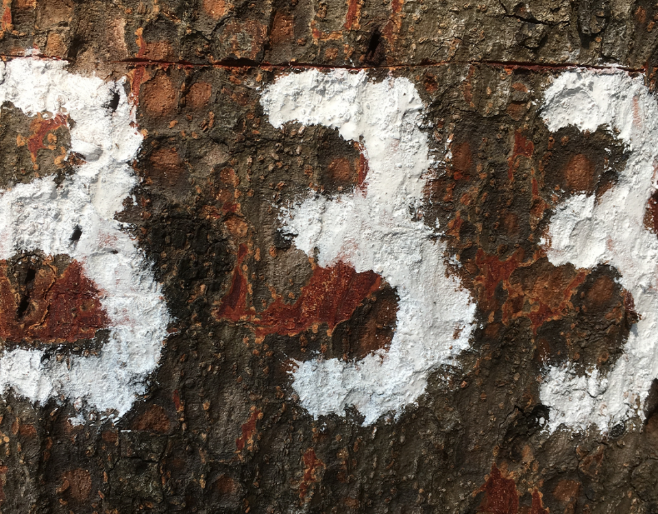 333 Anxiety Rule: What Is It and Does It Help?