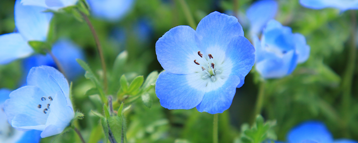 Bulimia Stigma: Misconceptions You Should Know About