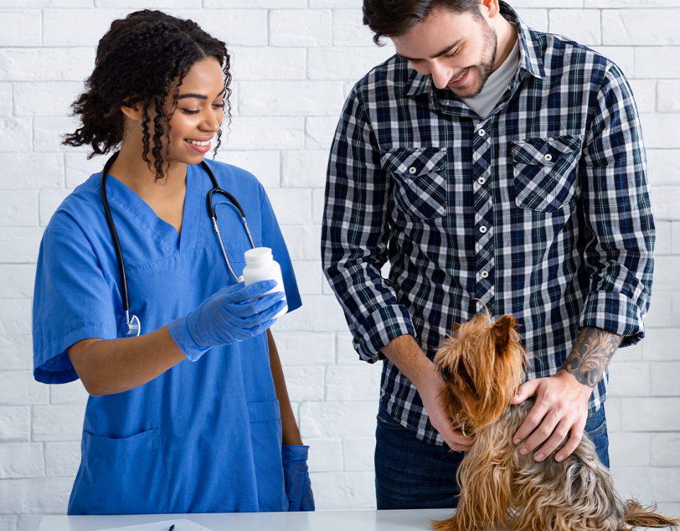 Commonly Abused Drugs for Animals