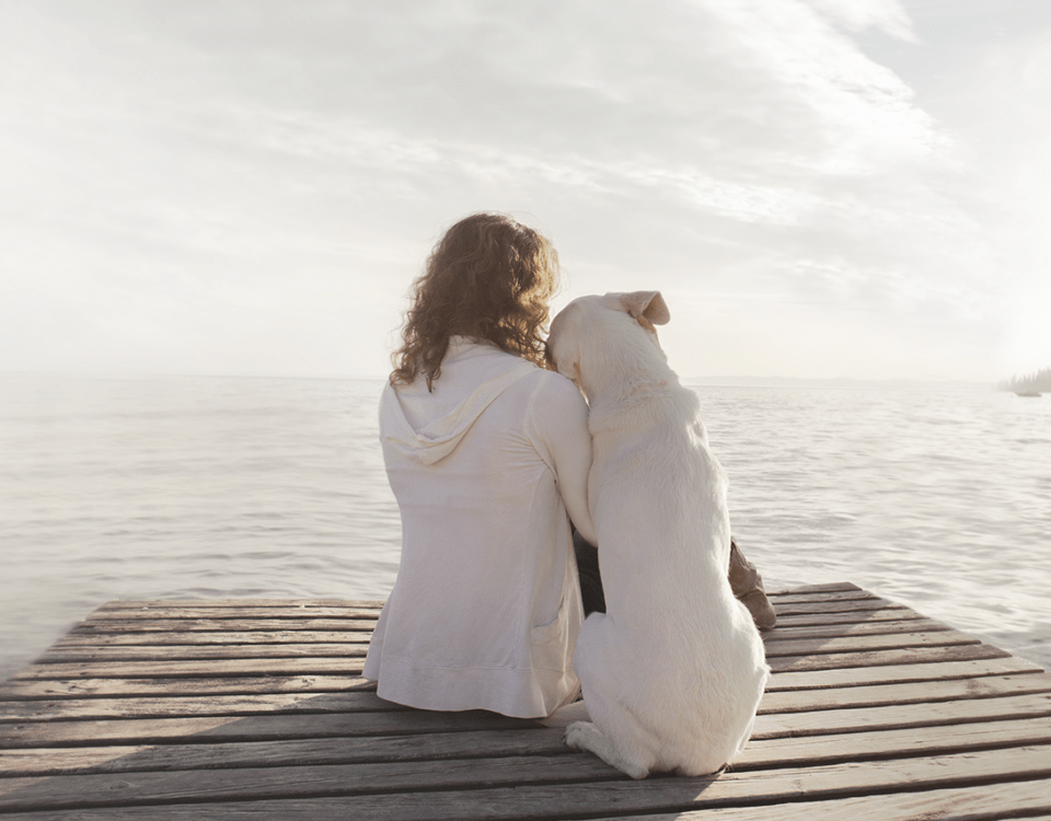 Best Emotional Support Animals for Mental Health