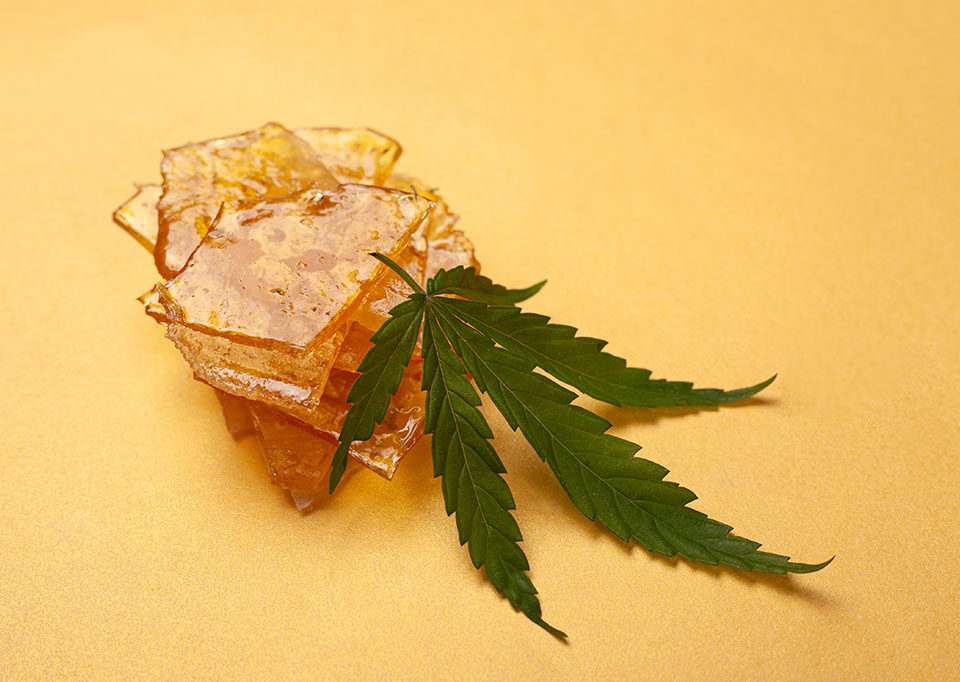 shatter-weed